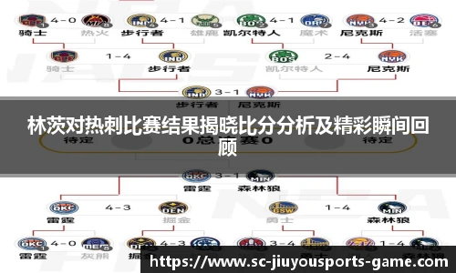 林茨对热刺比赛结果揭晓比分分析及精彩瞬间回顾